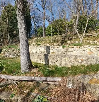 Foto annuncio 37