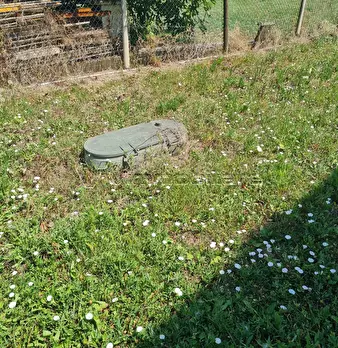 Foto annuncio 37