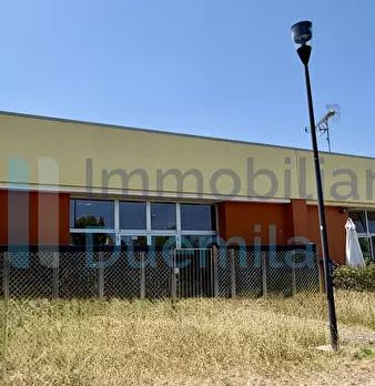 Foto annuncio 29