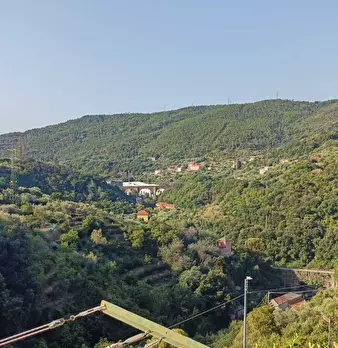 Foto annuncio 19