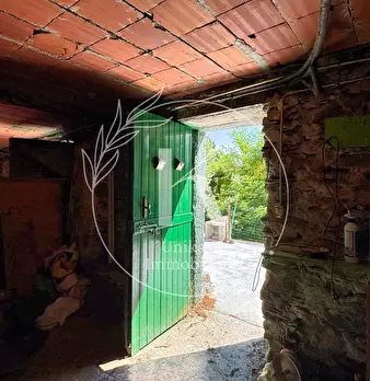 Foto annuncio 28