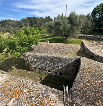 Foto annuncio 29