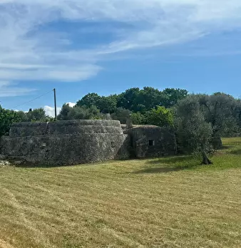 Foto annuncio 3