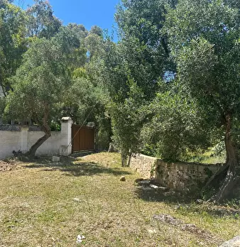 Foto annuncio 77