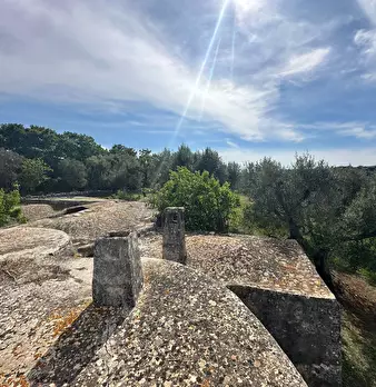 Foto annuncio 26