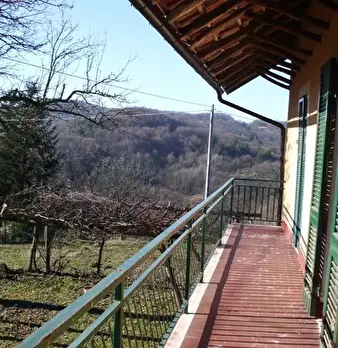 Foto annuncio 7