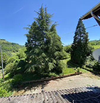 Foto annuncio 50
