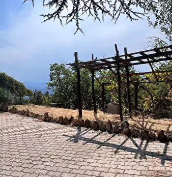 Foto annuncio 28