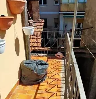 Foto annuncio 9