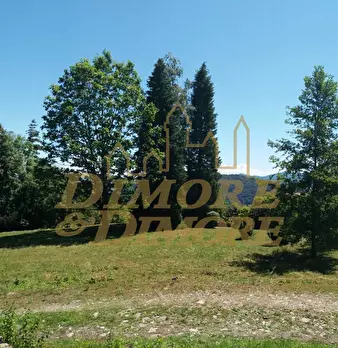 Foto annuncio 24