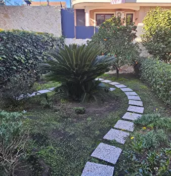 Foto annuncio 7