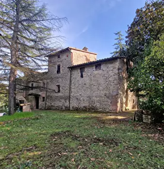 Foto annuncio 5