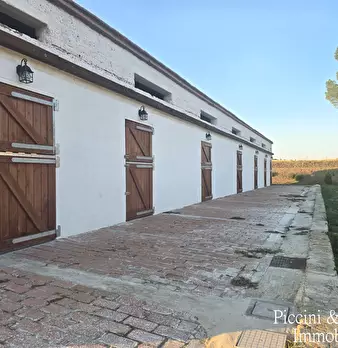 Foto annuncio 61