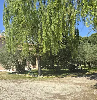 Foto annuncio 89