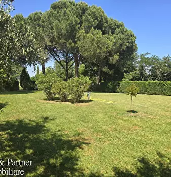 Foto annuncio 87