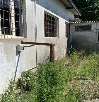 Foto annuncio 23