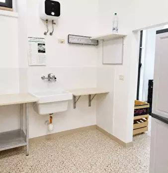 Foto annuncio 10