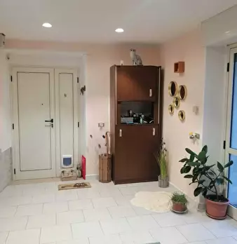 Foto annuncio 20