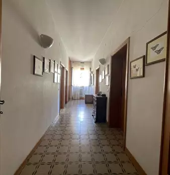 Foto annuncio 25