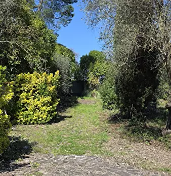 Foto annuncio 8