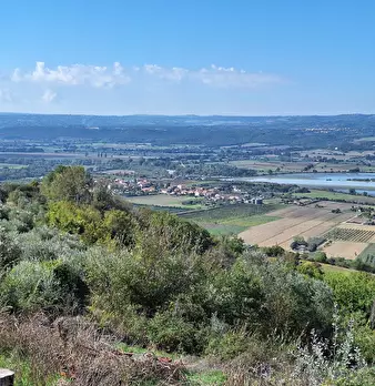 Foto annuncio 61