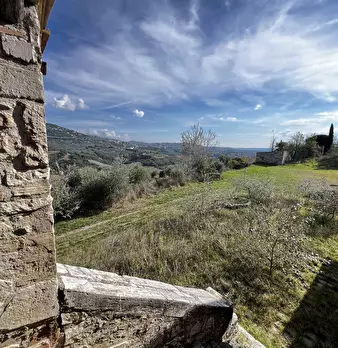 Foto annuncio 93