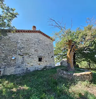 Foto annuncio 18