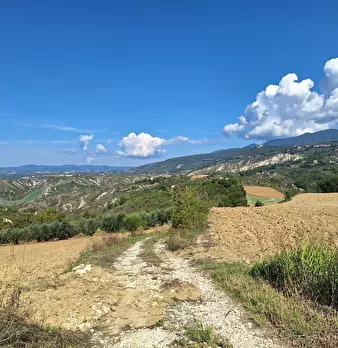 Foto annuncio 79