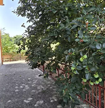 Foto annuncio 19