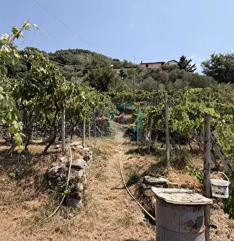 Foto annuncio 13