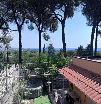 Foto annuncio 2