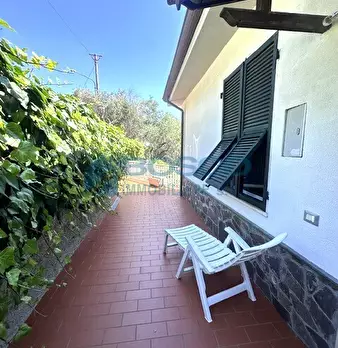 Foto annuncio 12