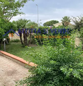 Foto annuncio 9