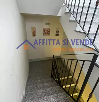 Foto annuncio 15