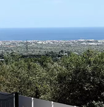 Foto annuncio 39