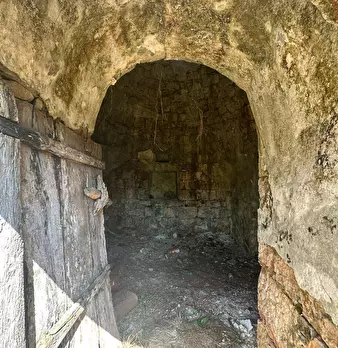 Foto annuncio 9