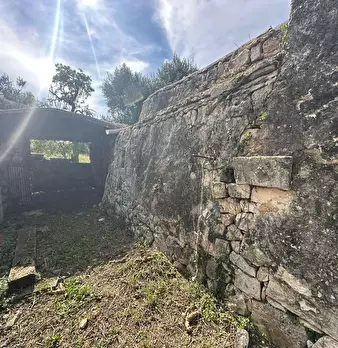 Foto annuncio 20