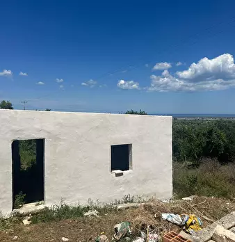 Foto annuncio 73