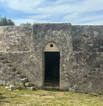 Foto annuncio 19