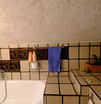 Foto annuncio 42