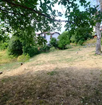 Foto annuncio 10