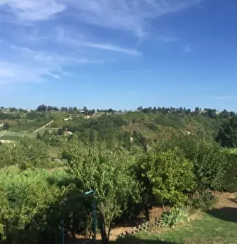 Foto annuncio 20