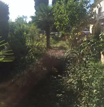 Foto annuncio 17