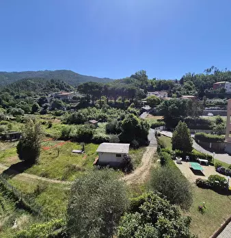 Foto annuncio 9