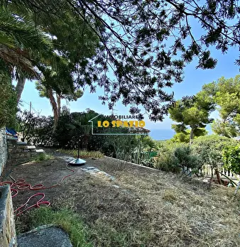 Foto annuncio 47
