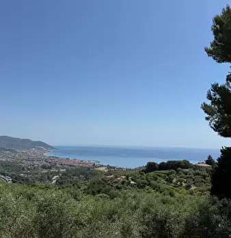 Foto annuncio 9