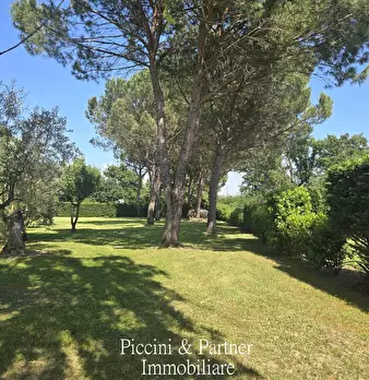 Foto annuncio 86
