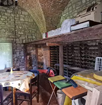 Foto annuncio 17