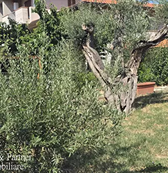 Foto annuncio 4