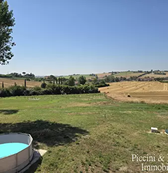 Foto annuncio 11
